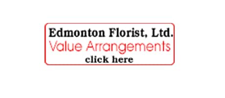 Beautiful Seasonal Flowers Banner